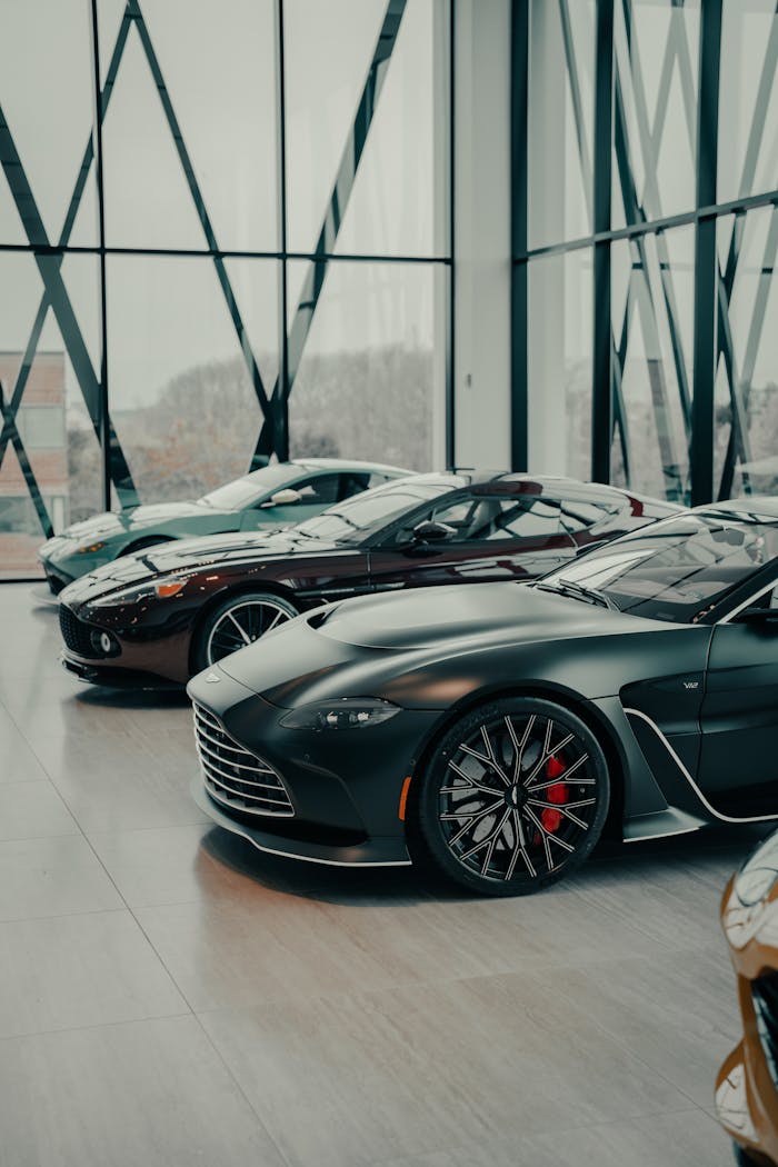 pexels photo 16176577.jpeg